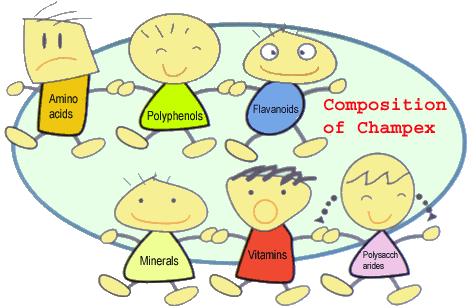 Composition of Champex™